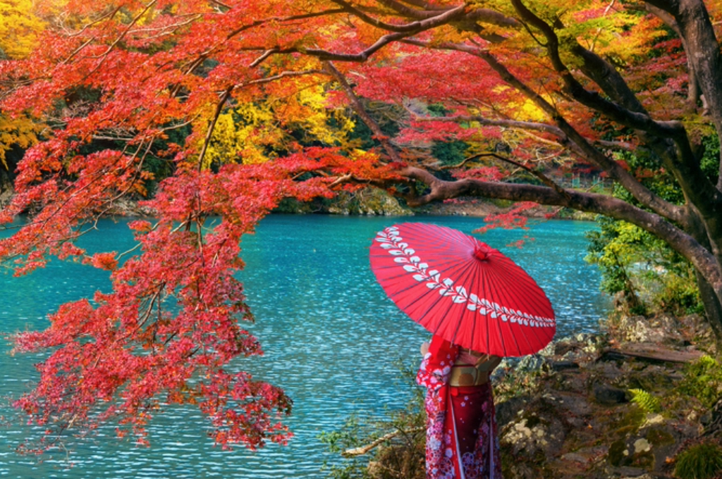 Kyoto Japonya